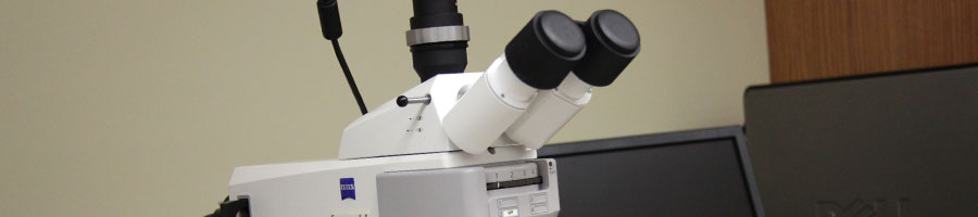 Fluorescence microscope