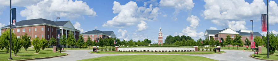 Union University