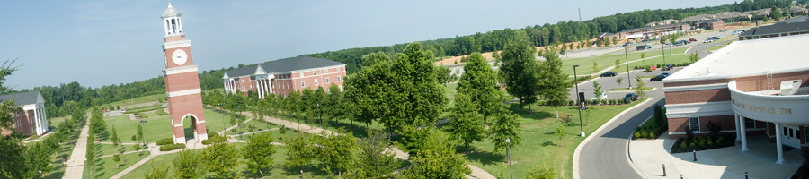 Union University