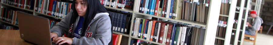 Emma Waters Summar Library
