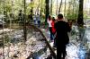 Students from Union team together to transport long cedar planks to a bog bridge construction area at Pinson Mounds as part of the Day of Remembrance.  - Photo by Kristi McMurry