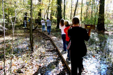 Students from Union team together to transport long cedar planks to a bog bridge construction area at Pinson Mounds as part of the Day of Remembrance. 