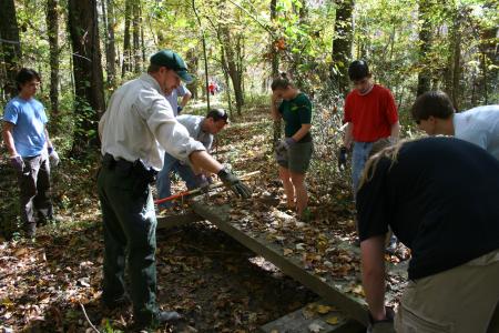 History students participated in a Day of Remembrance project at Pinson Mounds that lay a temporary bridge over a muddy area.