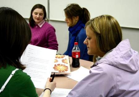 Students participating in the Language capstone group look over each other's papers.