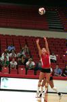 Katie Adams, senior communications major, sets the ball in a match against Martin Methodist. The Lady Bulldogs won 3-0 - Photo by Kristi McMurry