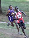 Alex Bett, Union Cross Country Invitational. - Photo by Uncredited