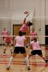 Marcela Madeira junior goes up for the hit against Freed during the Lady Bulldog Volleyball vs. Freed Hardeman University game (ACS Dig Pink Night) on  October 13, 2009.  - Photo by Megan Bailey
