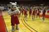 Buster the Bulldog joins the cheerleaders to cheer for the Lady Bulldogs during the Championship game of the NAIA National Tournament. - Photo by Jordan Buie