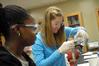 Students work together on a biology lab experiment. - Photo by Morris Abernathy