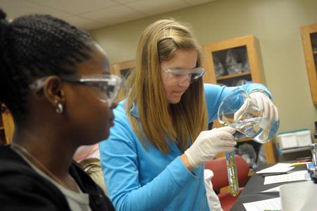 Students work together on a biology lab experiment.