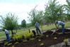 Facilities Management works to make the campus look beautiful for the Spring.  - Photo by Morris Abernathy