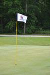2010 NAIA Men's Golf National Championships at TPC Deere Run. - Photo by Steven Aldridge
