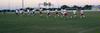 The Bulldog soccer team runs onto the field before a game against Delta State. - Photo by Deanna Santangelo