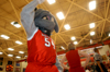 Buster the Bulldog joins forces with the cheerleaders and the home crowd during basketball games. He can be found roaming around the gym, rousing the crowd and playing with children. - Photo by Jonathan Blair
