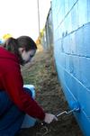 Christa Seyler, freshman nursing major, paints the football field wall at North Side High School during Campus and Community Day. - Photo by Ebbie Davis