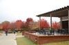 The Barefoots Joe patio on a nice Autumn day. - Photo by Ebbie Davis