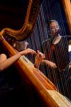 A harpist plays in the music department's annual Christmas concert "A Union Christmas." - Photo by Ebbie Davis