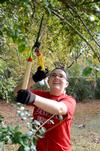 Meghan Aranda, freshman mathematics major, chops down stray  branches while working for Campus and Community Day.  - Photo by Ebbie Davis