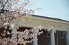 The Bowld Student Commons shown through lovely blooming trees.  - Photo by Matt McDaniel