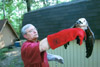 Dr. James A. Huggins, University Professor of Biology and Biology Department Chair, is currently working with eighteen Mississippi kites to reintroduce them back into the wild. - Photo by Jim Veneman