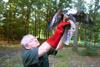 Dr. James A. Huggins, University Professor of Biology and Biology Department Chair, is currently working with eighteen Mississippi kites to reintroduce them back into the wild. - Photo by Jim Veneman