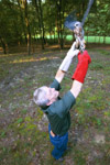 Dr. James A. Huggins, University Professor of Biology and Biology Department Chair, is currently working with eighteen Mississippi kites to reintroduce them back into the wild. - Photo by Jim Veneman