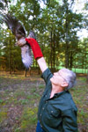 Dr. James A. Huggins, University Professor of Biology and Biology Department Chair, is currently working with eighteen Mississippi kites to reintroduce them back into the wild. - Photo by Jim Veneman
