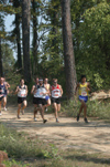 Junior Chris Winter paced himself with fellow competitors during a cross country meet. - Photo by Lindsay Stavish
