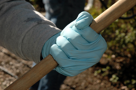Blue gloves were a symbol of hard work during this year's Day of Remembrance.