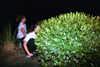 Freshmen get into the action at Union by participating in the annual FOCUS capture the flag game during New Student Orientation 2002. - Photo by Justin Veneman