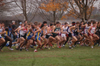 The starting line for the 2004 NAIA National Cross Country Meet. - Photo by Kristen Nicole Sayres