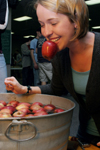 Junior Lauren Crane bobs for an apple during the Junior/Freshman Party. - Photo by Kyle Kurlick