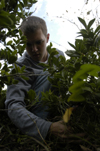 Dustin Curtis weeded flower beds on campus during Day of Remembrance. - Photo by Kathleen Murray