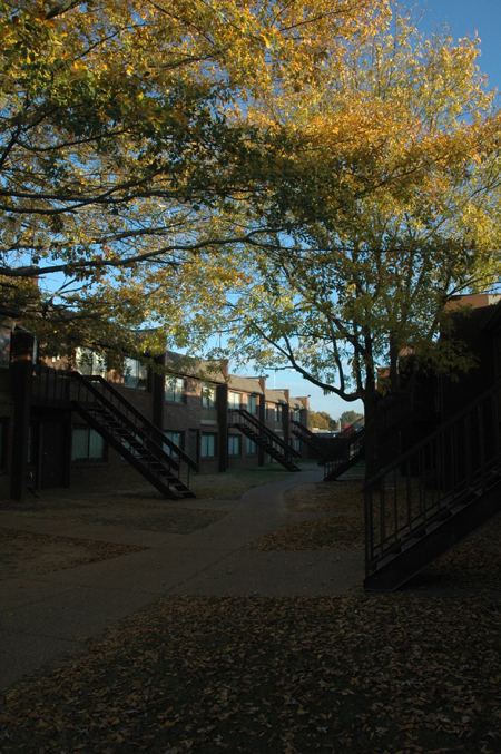 A fall day in the Watters Residence Complex.