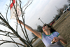Hannah Smith untangles her kite from a tree on a windy afternoon at Union. - Photo by Kyle Kurlick