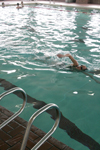 Swimmers enjoy the Acquatic Center.  - Photo by Kyle Kurlick