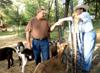 Dr. Marlyn Newhouse, associate professor of chemistry, enjoys spending time taking care of her
goats and rabbits. She owns a 50-acre farm in Medina, Tenn. complete with Russian hamsters. - Photo by Heather Phillips