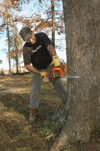 Christian Studies professor George Guthrie works on bringing down tornado-damaged trees in the grove behind the McAfee Residence Complex. - Photo by Jim Veneman