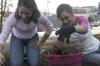 Kellie Sneddon and Charley Moss weed out garden beds and walkways at The Care Center near downtown Jackson as a part of the Day of Remembrance. - Photo by Kyle Kurlick