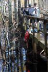 Nathan Cobb reaches for trash under the boardwalk at Cypress Grove Nature Park. Cypress Grove was visited by twenty students, staff and faculty from Union University on the Day of Remembrance. - Photo by Morris Abernathy