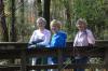 Union staffers Suzanne Nadaskay, Cheryl Mercker and Carol Courtner pick up trash at Cypress Grove during Day of Remembrance. - Photo by Morris Abernathy