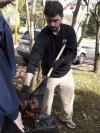 SAC Advisor Justin Philips shovels leaves into a garbage bag at the Young Life house as a part of Day of Remembrance.  - Photo by Beth Spain
