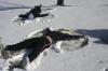 Hanna Bisset and Rebekah Frost create snow angels during a rare snow day that was the result a few inches of snow the came to campus. - Photo by Stephanie Schroeder