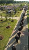The spring 2007 graduates file onto the Great Lawn. - Photo by Matthew Diggs