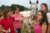 Rising Seniors Chelse Lampley, Sarah Lechman, Jessica Pikowski and Jordan McGraff pet one of the horses that belong to the Abshers. - Photo by Stephanie Schroeder