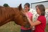 Rising Seniors Sarah Lechman and Chelse Lampley pet one of the horses owned by the Abshers, who opened their home for a cookout. - Photo by Stephanie Schroeder