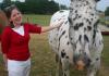 Molly Merck pets one of the horses that belongs to the Abshers during a Rising Senior cookout. - Photo by Stephanie Schroeder