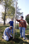 Art majors Eric Botbyl, Lesley Robinson and Nathan Evans erect poles through the middle of the campus for the September 11 memorial environmental installation.  - Photo by Justin Veneman