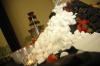 Mountains of marshmallows, Oreos, pretzels and fruit surrounded the chocolate fountains at the President's Reception.  - Photo by Neisha Fuson