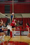 In the game against Trevecca Nazarene University, Junior Jennifer Martins taps the volleyball back to the other side of the net.  - Photo by Neisha Fuson